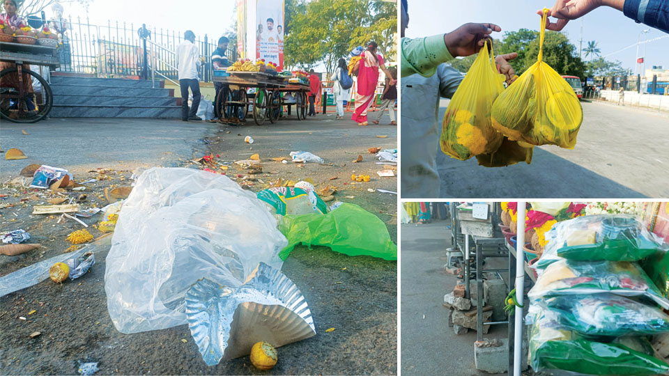 Chamundi Hill’s ‘plastic-free’ status proves an uphill task