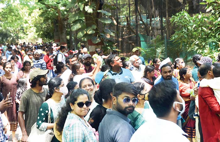 Sri Chamarajendra Zoological Gardens